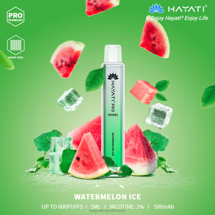FD4H24 - Hayati store France glace à la pastèque Hayati Pro Mini jetable