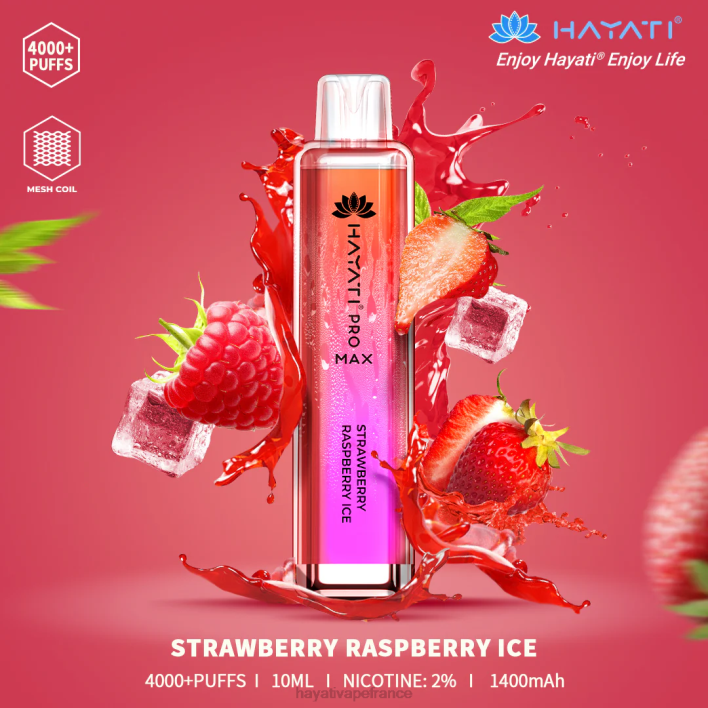 glace fraise framboise