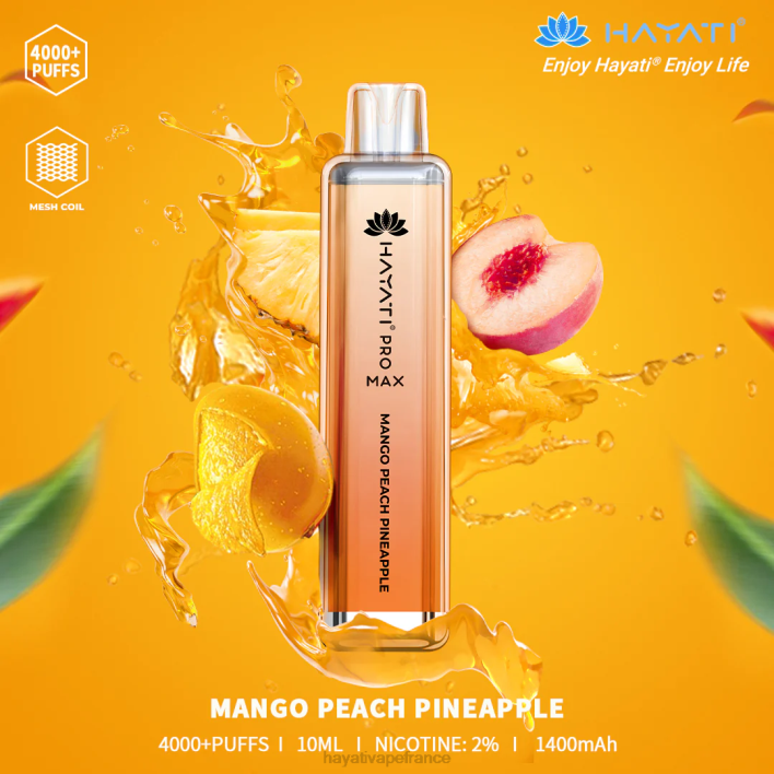 mangue pêche ananas