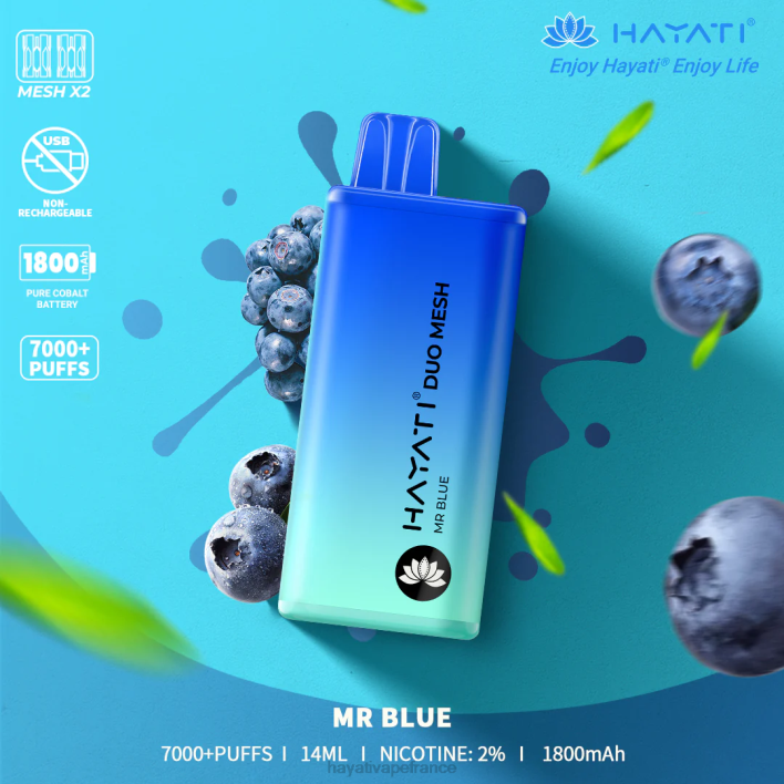 FD4H174 - Hayati store France monsieur bleu Hayati Duo Mesh jetable