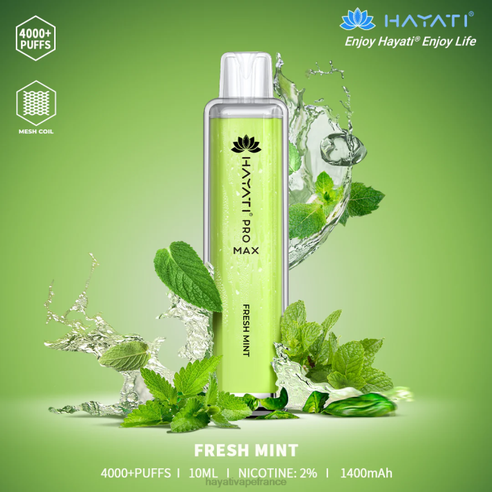 FD4H104 - Hayati store France menthe fraîche Hayati Pro Max jetable